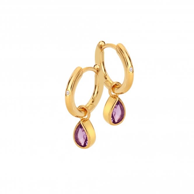 HD X GE Amethyst Earrings