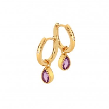 HD X GE Amethyst Earrings