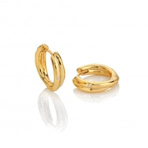HD X Golden Edit Aura Hoop Earrings
