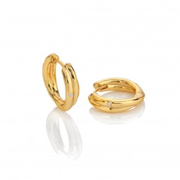HD X Golden Edit Aura Hoop Earrings