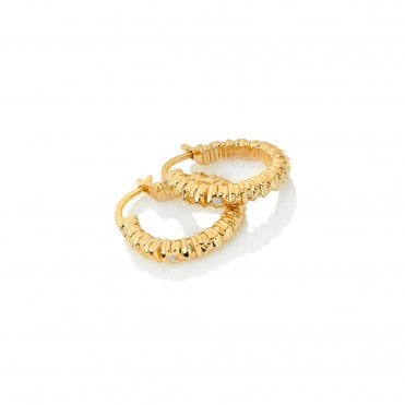 HD X Golden Edit Believe Earrings