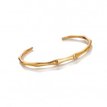HD X Golden Edit Bondi Bangle