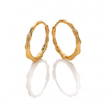 HD X Golden Edit Bondi Earrings
