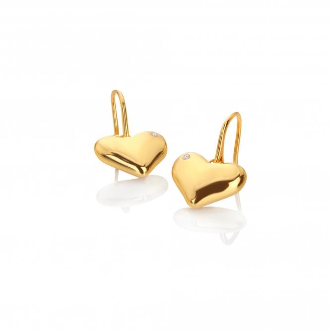  Desire Hook Earrings  - YGP