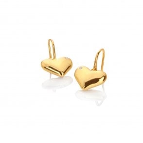 HD X Golden Edit Desire Hook Earrings  - YGP