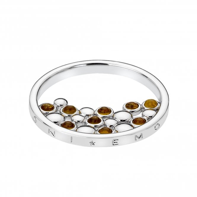 Nettare Coin - Amber - 25mm
