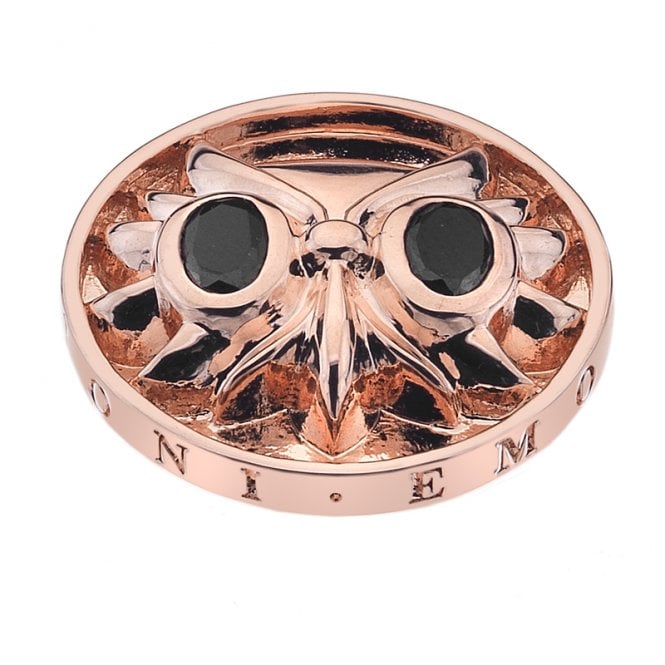 Overjoyed Owl Rose Gold Plated coin - 25mm