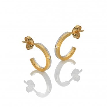 Parallel Two Tone Earrings